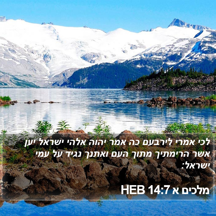 מלכים א 14:7 HEB Bible Study