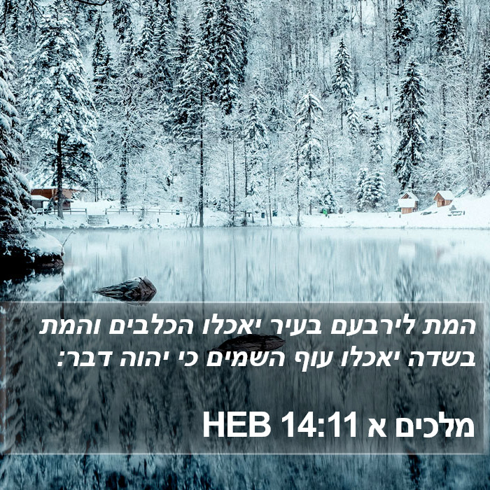 מלכים א 14:11 HEB Bible Study