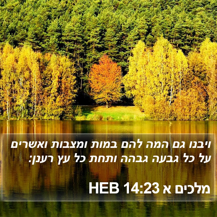 מלכים א 14:23 HEB Bible Study