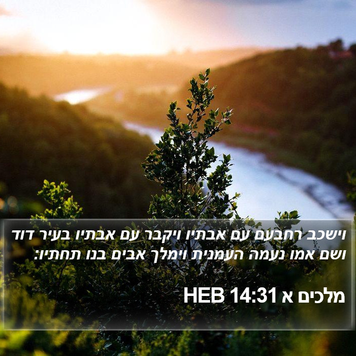 מלכים א 14:31 HEB Bible Study