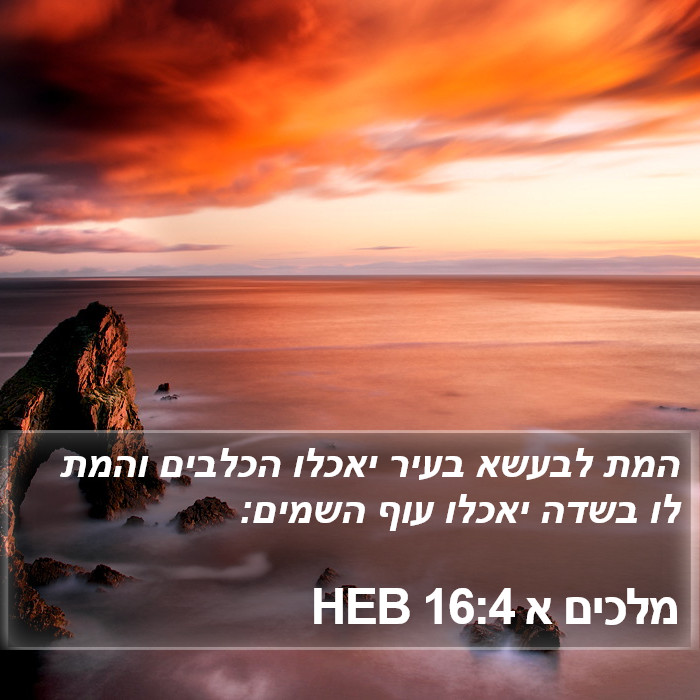 מלכים א 16:4 HEB Bible Study