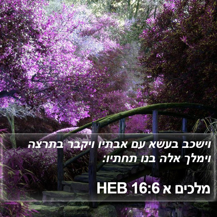 מלכים א 16:6 HEB Bible Study