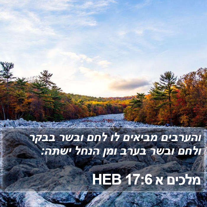 מלכים א 17:6 HEB Bible Study