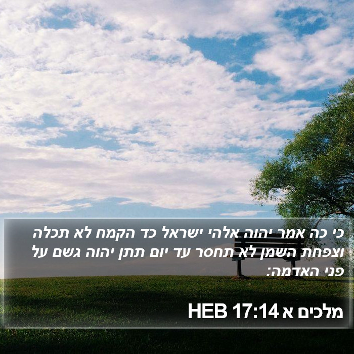 מלכים א 17:14 HEB Bible Study