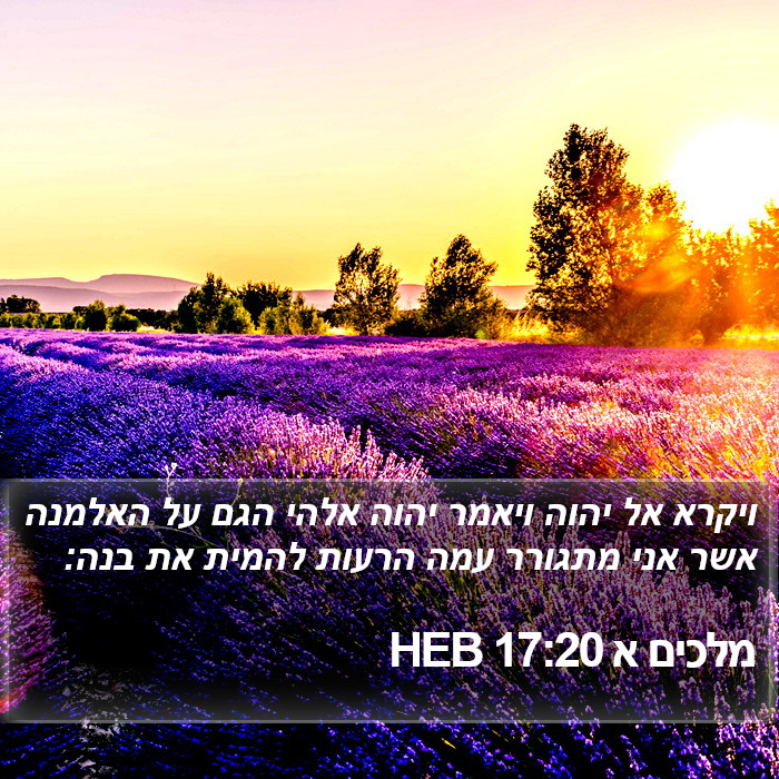 מלכים א 17:20 HEB Bible Study