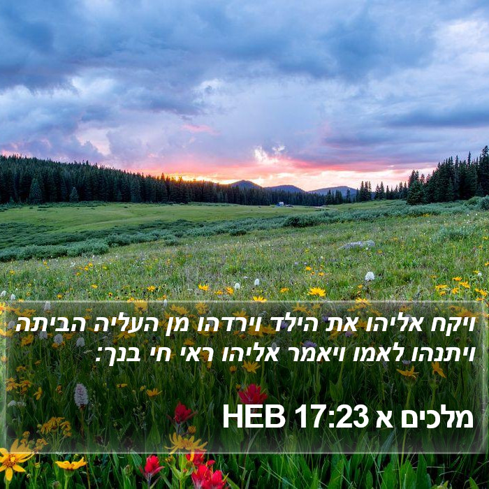 מלכים א 17:23 HEB Bible Study