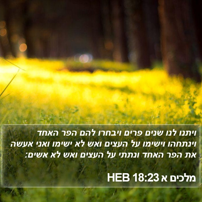 מלכים א 18:23 HEB Bible Study