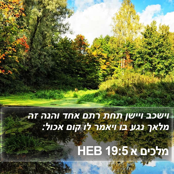 מלכים א 19:5 HEB Bible Study