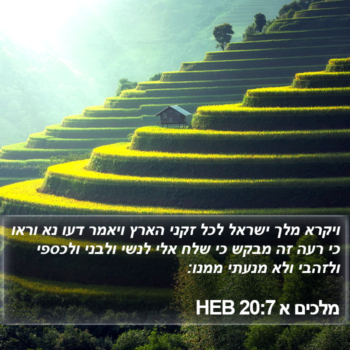 מלכים א 20:7 HEB Bible Study