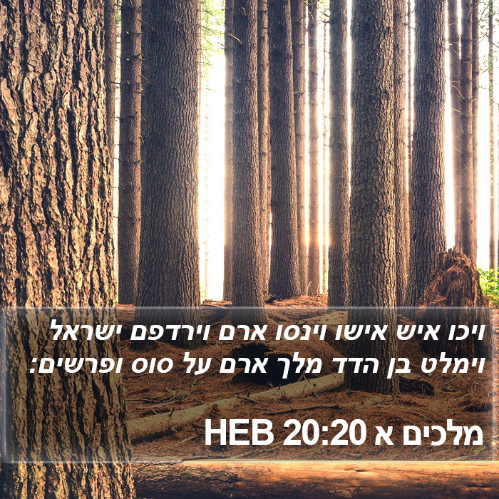 מלכים א 20:20 HEB Bible Study