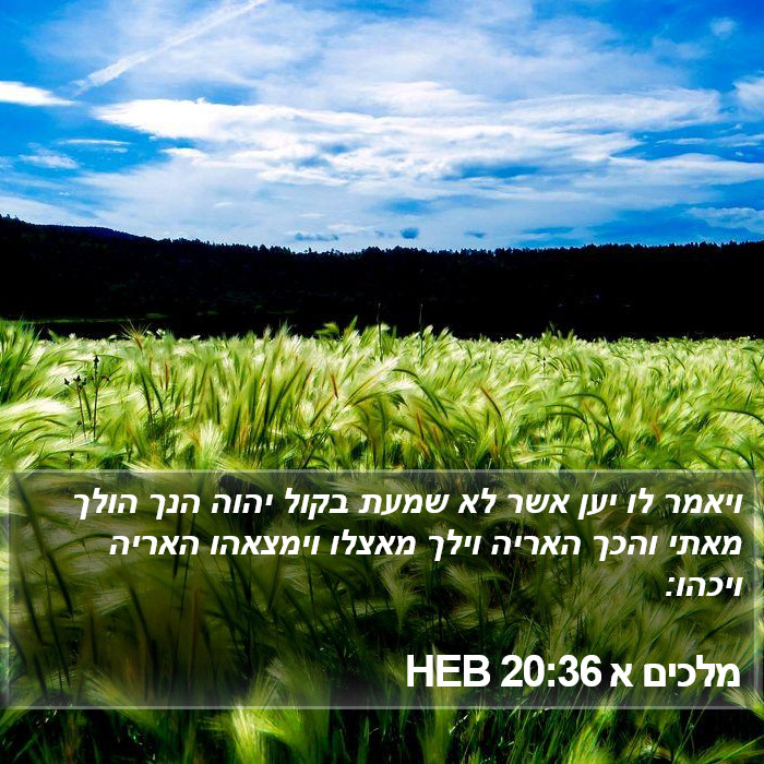 מלכים א 20:36 HEB Bible Study