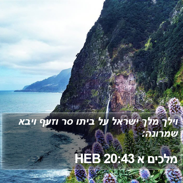 מלכים א 20:43 HEB Bible Study