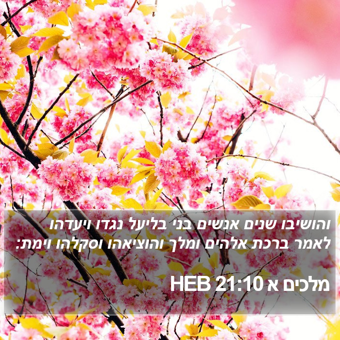 מלכים א 21:10 HEB Bible Study