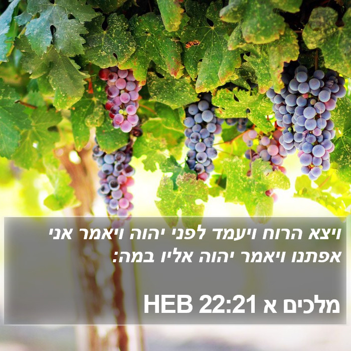 מלכים א 22:21 HEB Bible Study