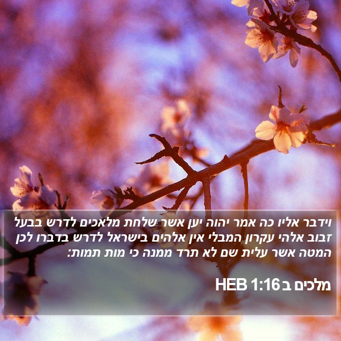 מלכים ב 1:16 HEB Bible Study