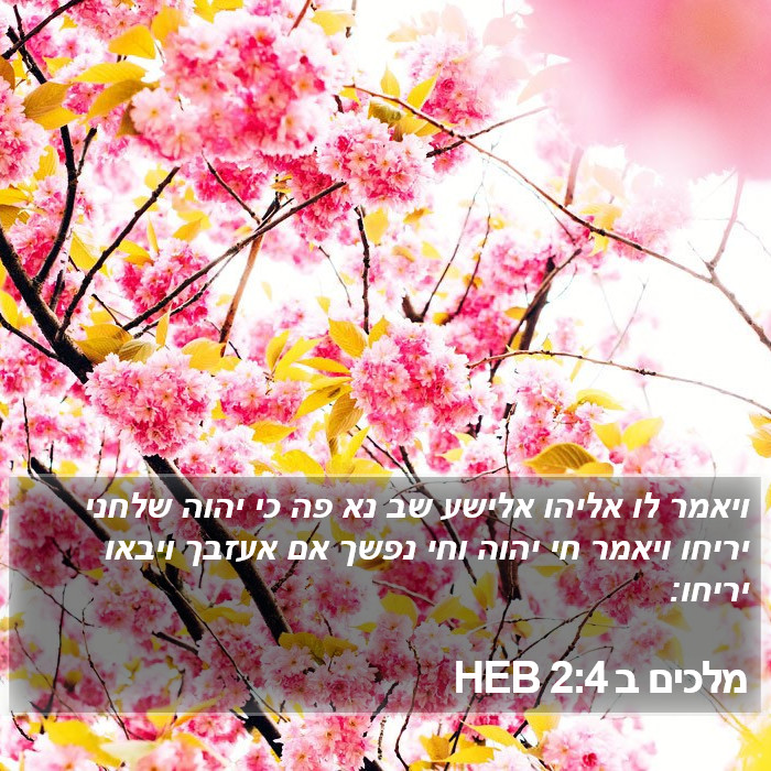 מלכים ב 2:4 HEB Bible Study