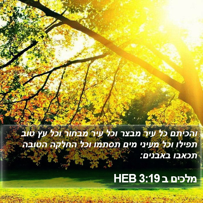 מלכים ב 3:19 HEB Bible Study