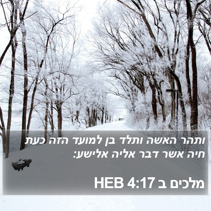 מלכים ב 4:17 HEB Bible Study