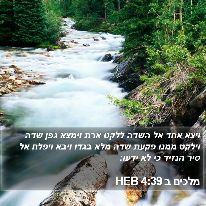 מלכים ב 4:39 HEB Bible Study