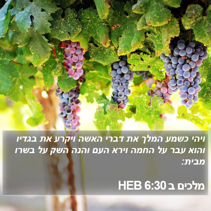 מלכים ב 6:30 HEB Bible Study