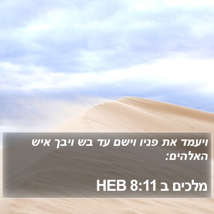 מלכים ב 8:11 HEB Bible Study