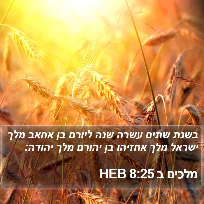 מלכים ב 8:25 HEB Bible Study