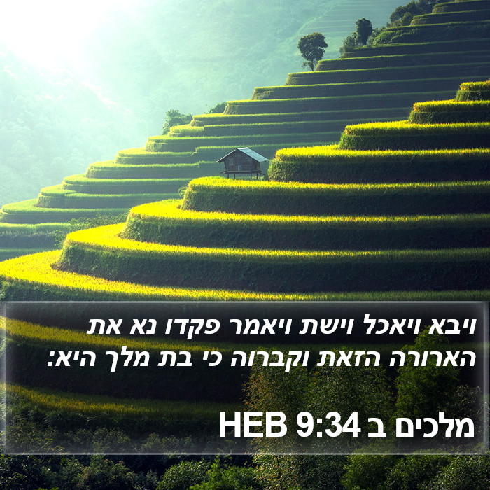 מלכים ב 9:34 HEB Bible Study