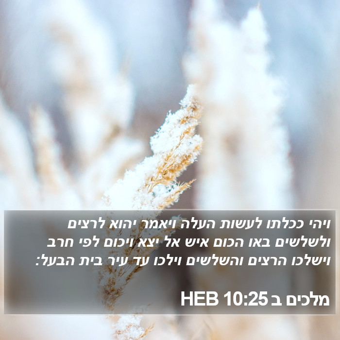 מלכים ב 10:25 HEB Bible Study