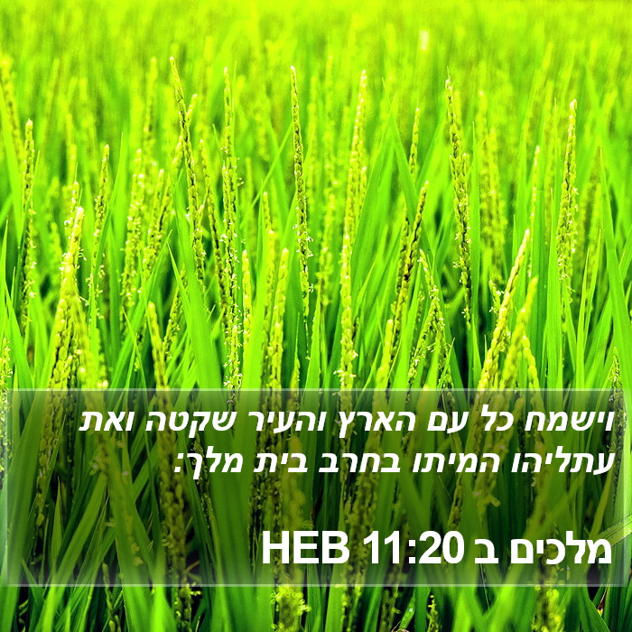 מלכים ב 11:20 HEB Bible Study