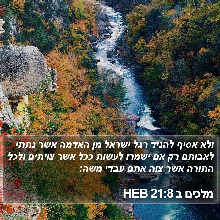 מלכים ב 21:8 HEB Bible Study