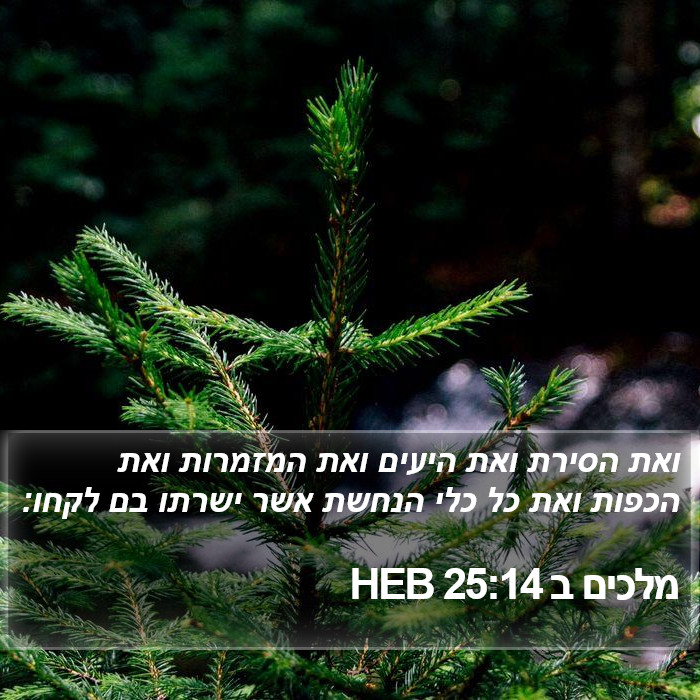 מלכים ב 25:14 HEB Bible Study