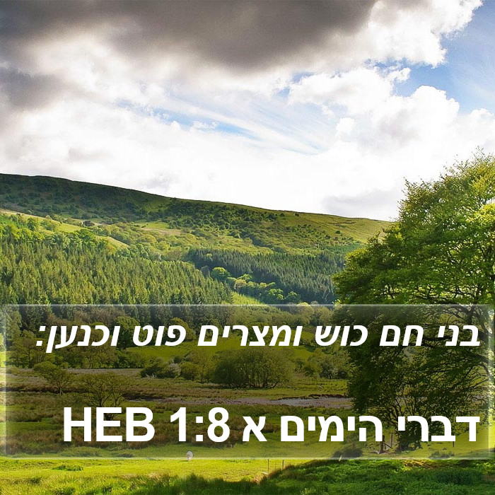 דברי הימים א 1:8 HEB Bible Study