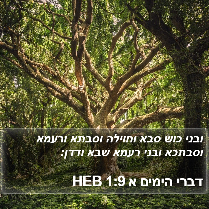 דברי הימים א 1:9 HEB Bible Study