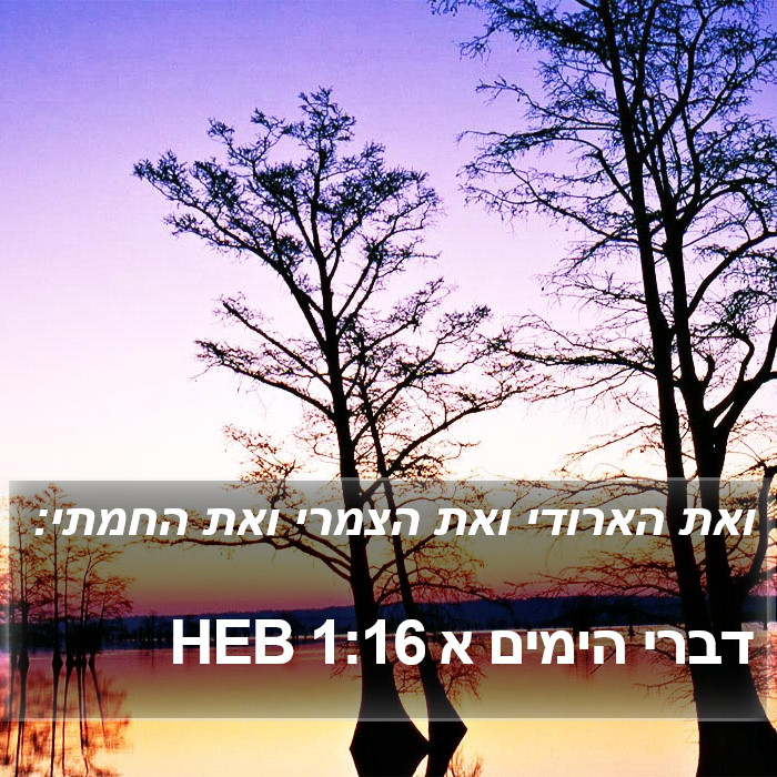 דברי הימים א 1:16 HEB Bible Study