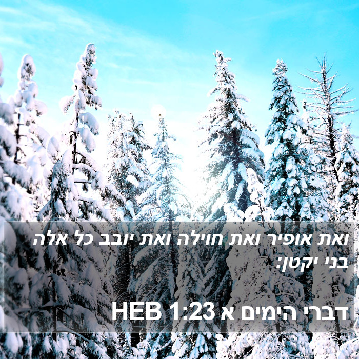 דברי הימים א 1:23 HEB Bible Study