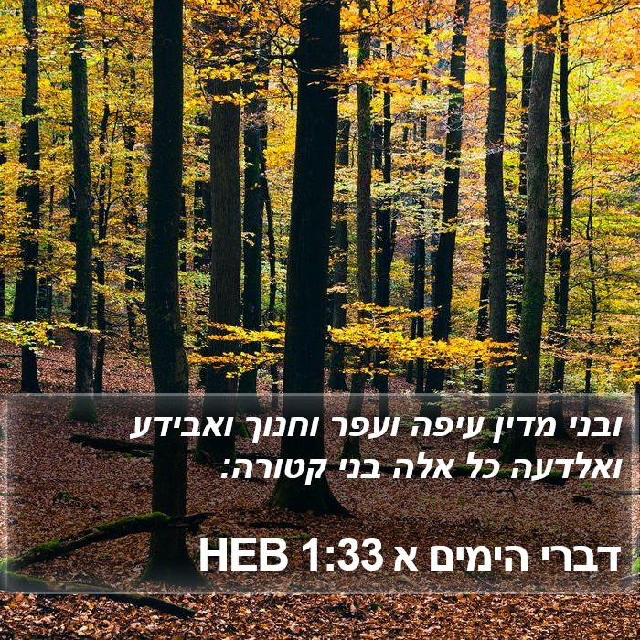 דברי הימים א 1:33 HEB Bible Study