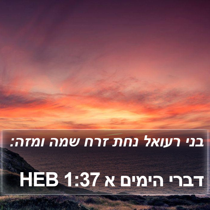 דברי הימים א 1:37 HEB Bible Study