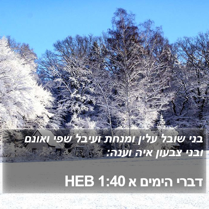 דברי הימים א 1:40 HEB Bible Study