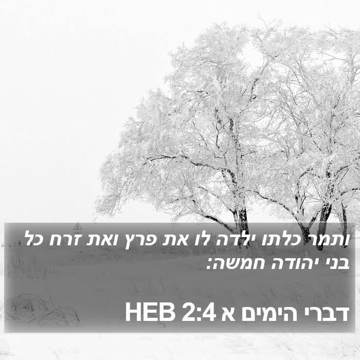 דברי הימים א 2:4 HEB Bible Study