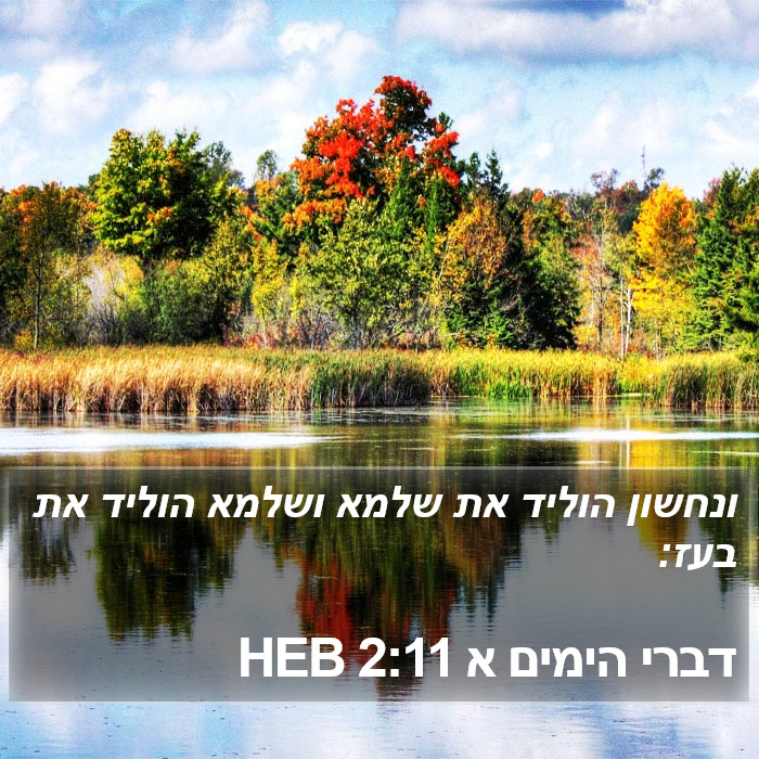 דברי הימים א 2:11 HEB Bible Study