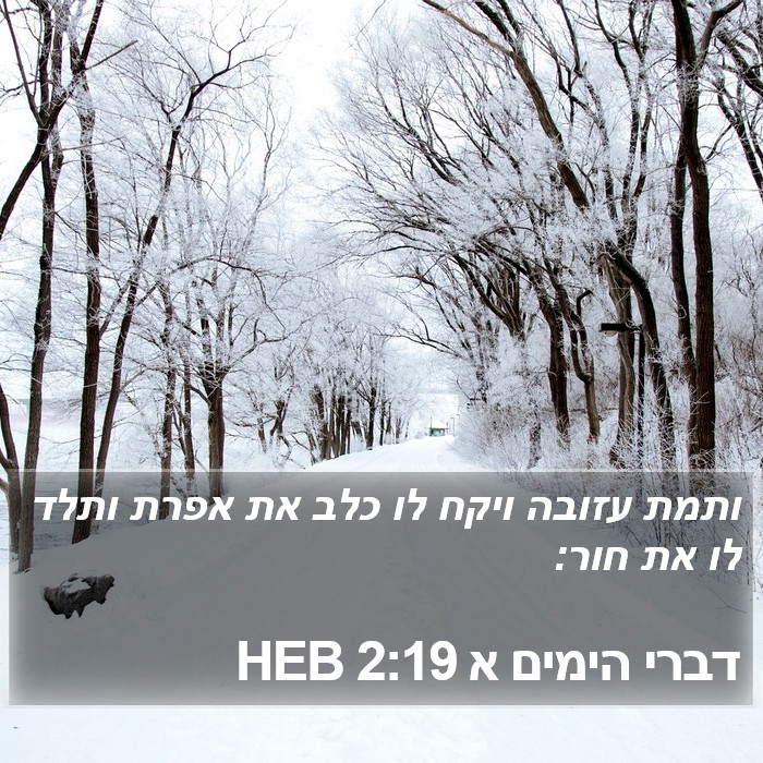 דברי הימים א 2:19 HEB Bible Study