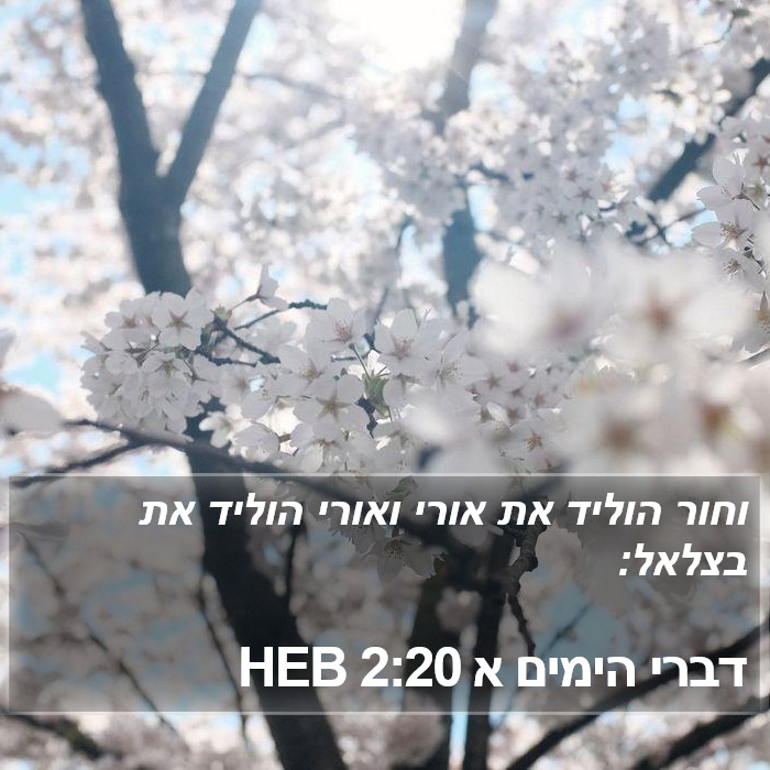 דברי הימים א 2:20 HEB Bible Study