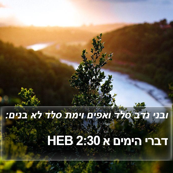 דברי הימים א 2:30 HEB Bible Study