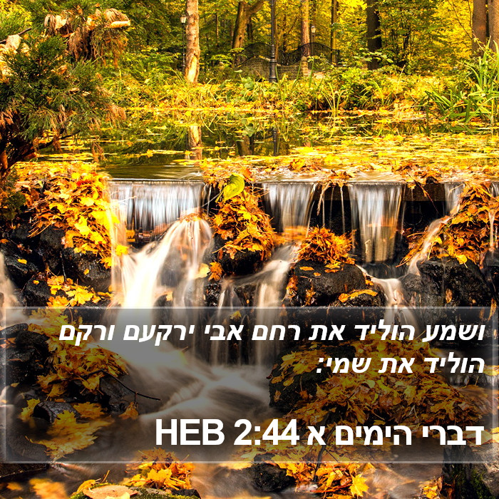 דברי הימים א 2:44 HEB Bible Study