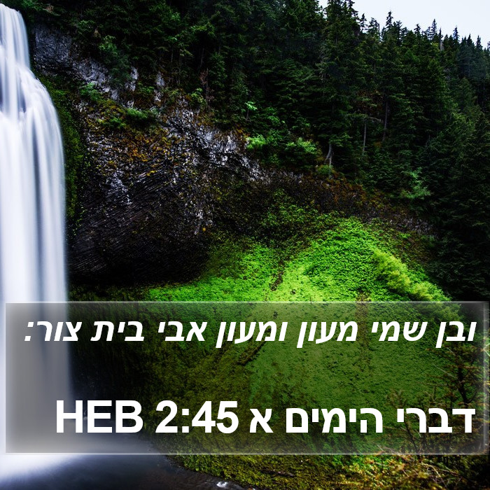 דברי הימים א 2:45 HEB Bible Study