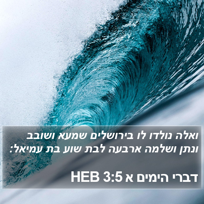 דברי הימים א 3:5 HEB Bible Study