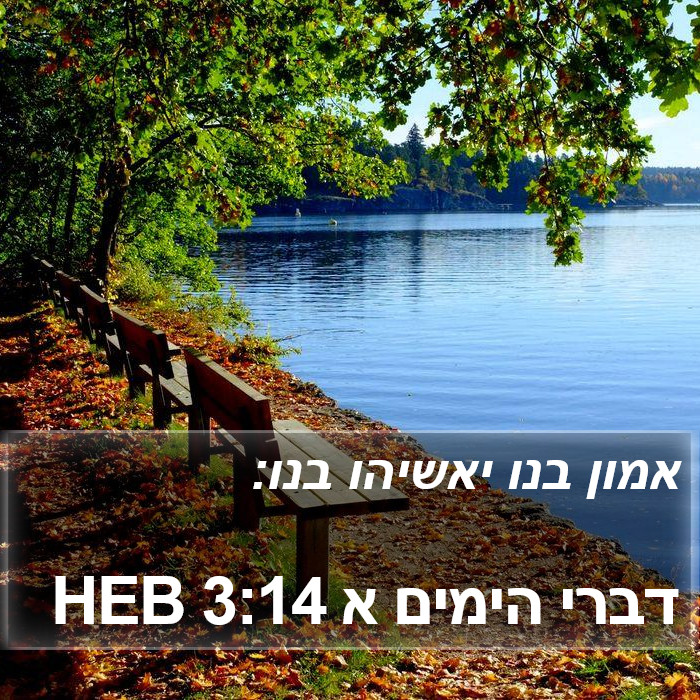 דברי הימים א 3:14 HEB Bible Study