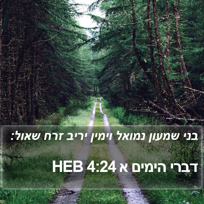 דברי הימים א 4:24 HEB Bible Study