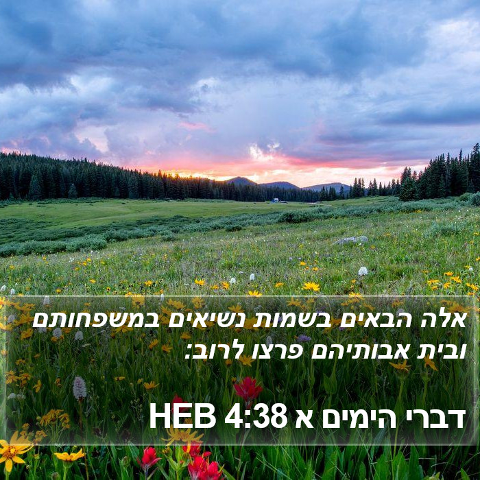 דברי הימים א 4:38 HEB Bible Study