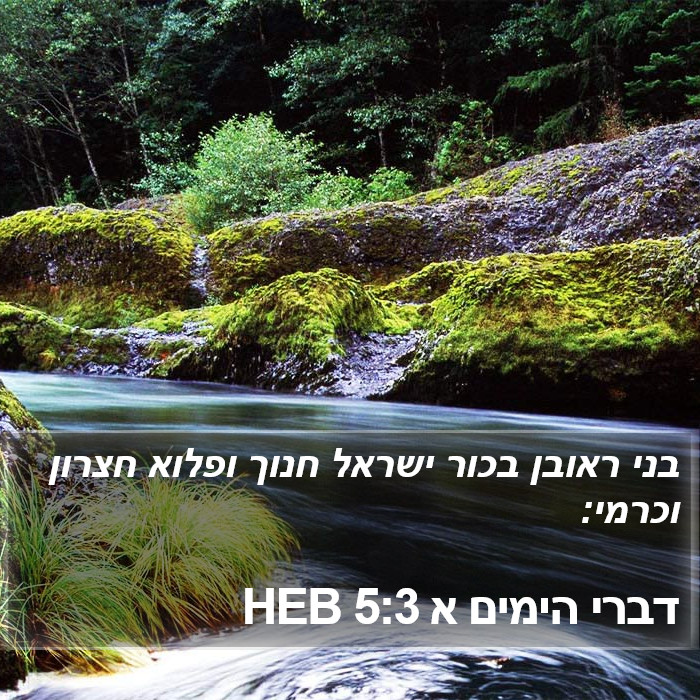 דברי הימים א 5:3 HEB Bible Study